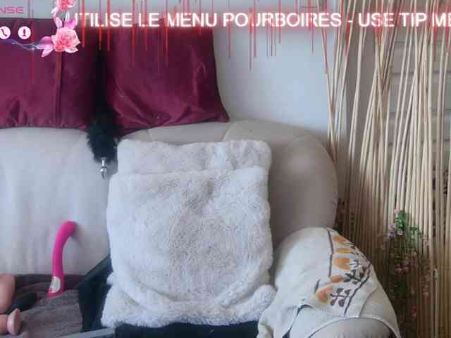 FRENCH-LISA webcam
