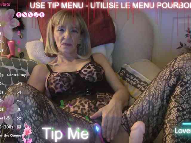 FRENCH-LISA webcam