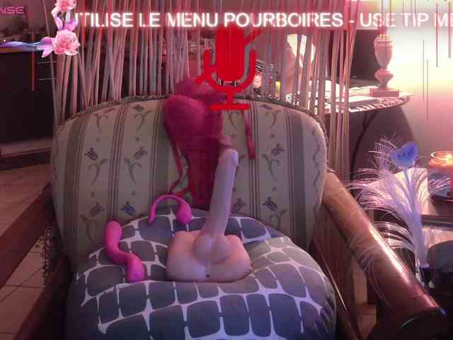 FRENCH-LISA webcam