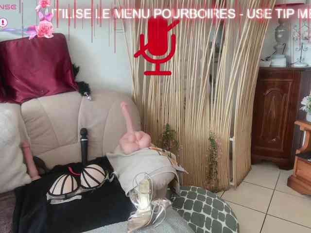 FRENCH-LISA webcam
