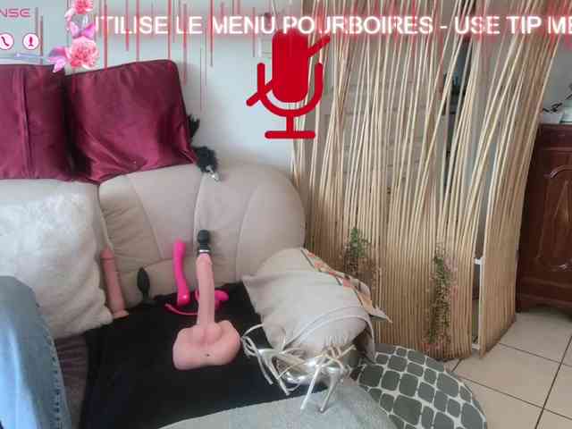 FRENCH-LISA webcam