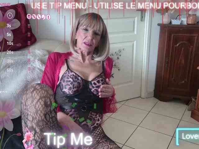 FRENCH-LISA webcam