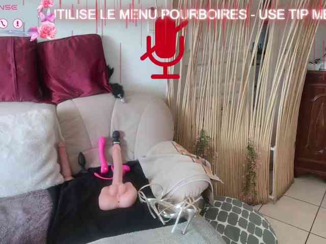 FRENCH-LISA webcam