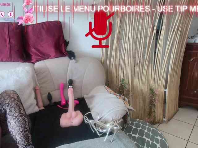FRENCH-LISA webcam