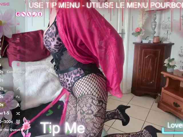 FRENCH-LISA webcam
