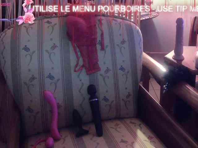 FRENCH-LISA webcam