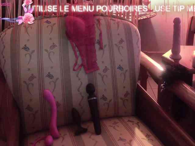 FRENCH-LISA webcam