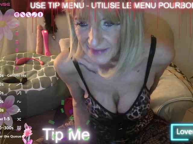 FRENCH-LISA webcam