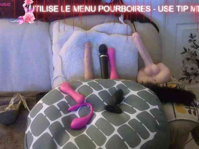 FRENCH-LISA webcam