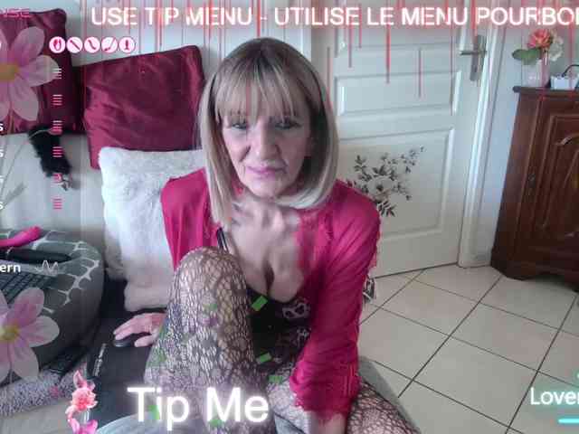 FRENCH-LISA webcam