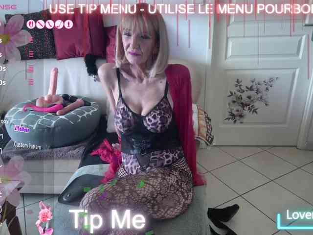 FRENCH-LISA webcam