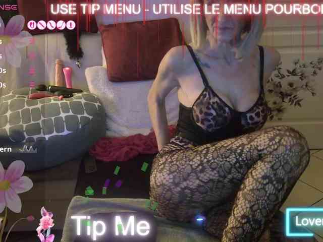 FRENCH-LISA webcam
