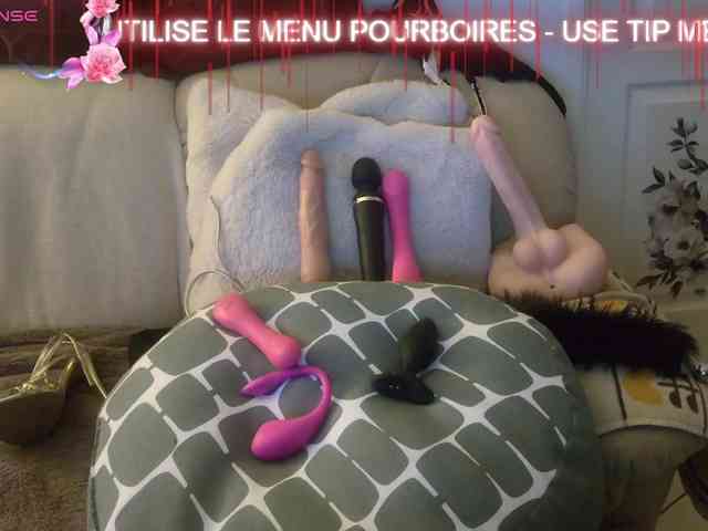 FRENCH-LISA webcam