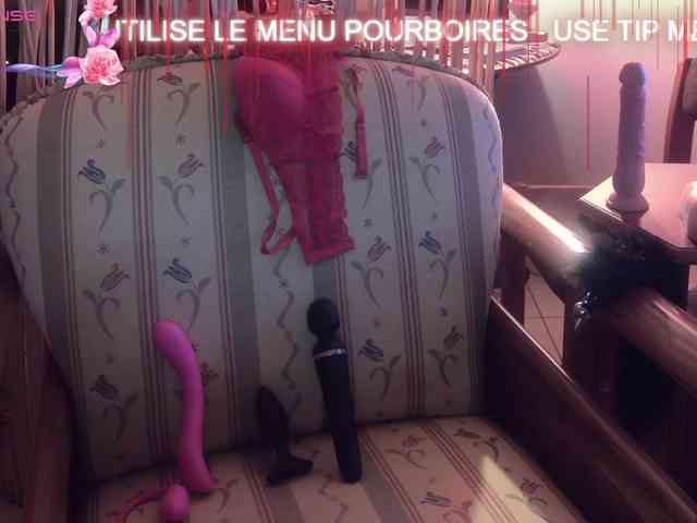 FRENCH-LISA webcam