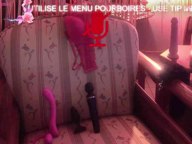 FRENCH-LISA webcam