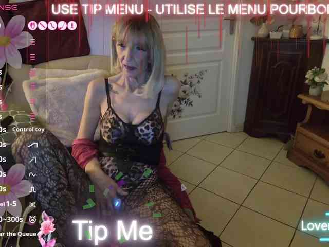 FRENCH-LISA webcam