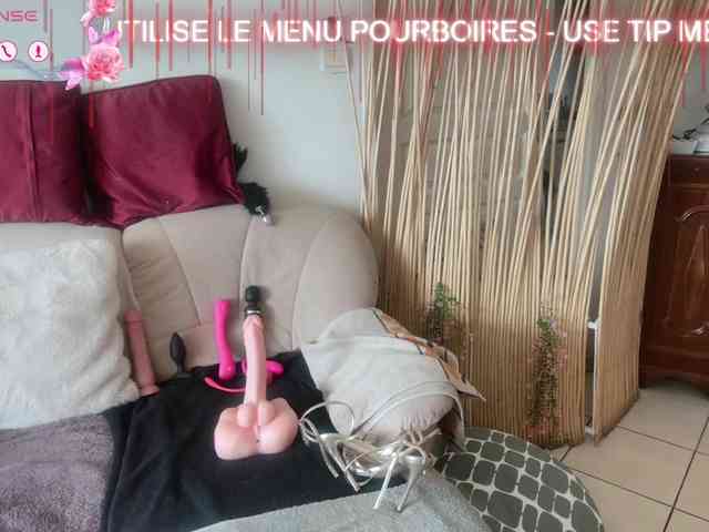 FRENCH-LISA webcam