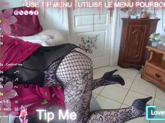FRENCH-LISA webcam