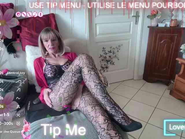 FRENCH-LISA webcam