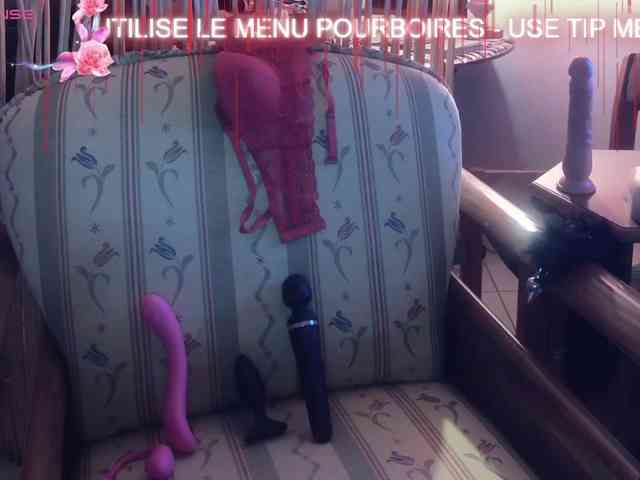 FRENCH-LISA webcam
