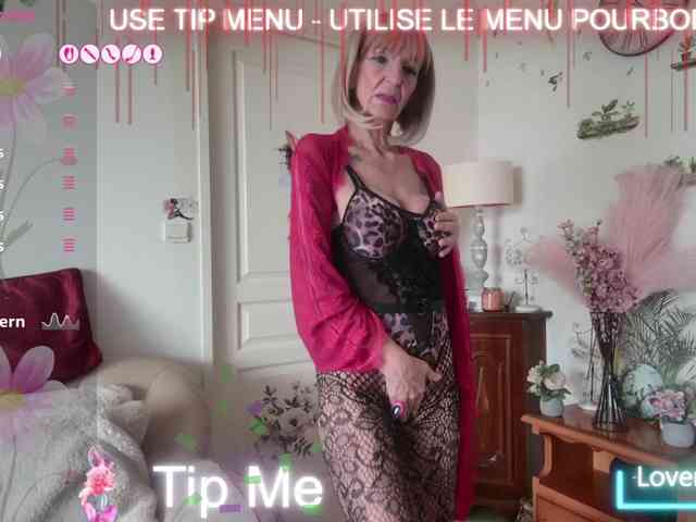 FRENCH-LISA webcam