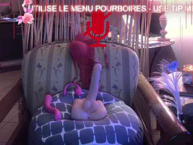 FRENCH-LISA webcam