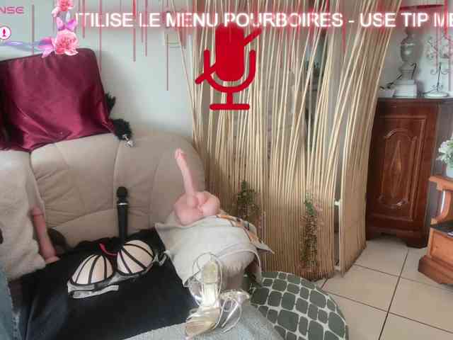 FRENCH-LISA webcam