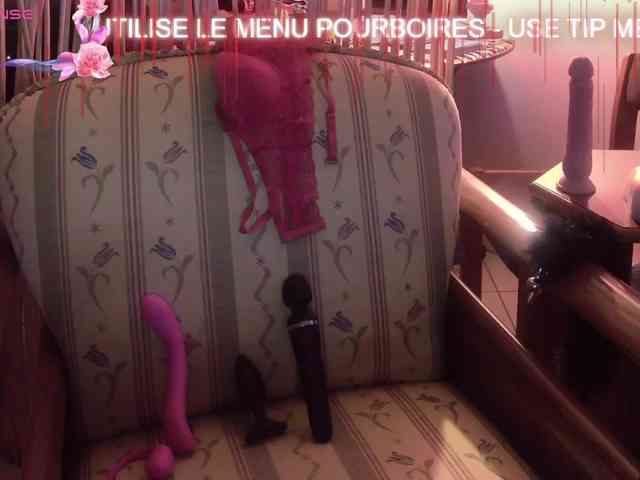 FRENCH-LISA webcam