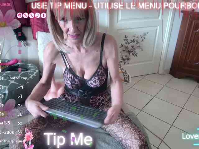 FRENCH-LISA webcam