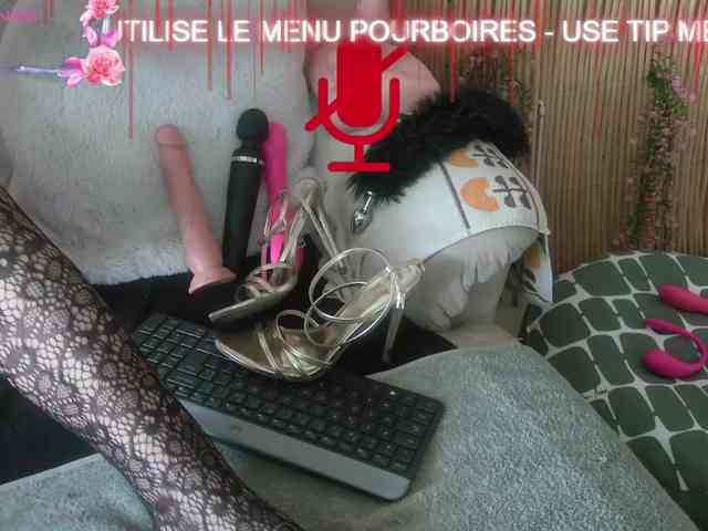FRENCH-LISA webcam