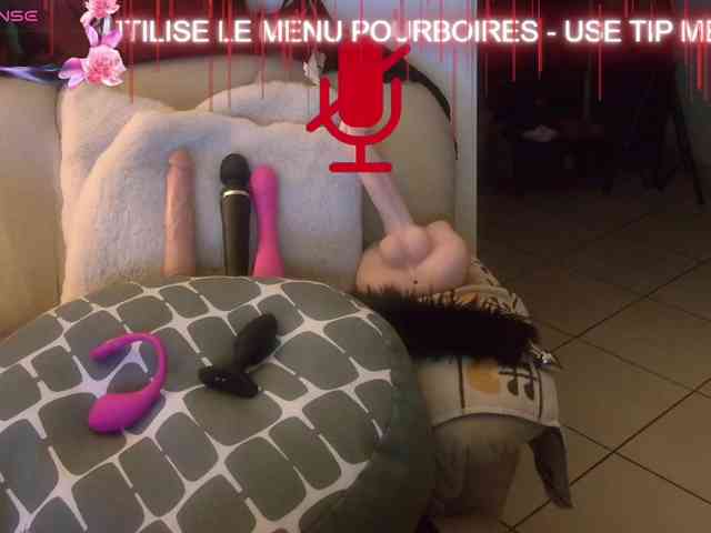 FRENCH-LISA webcam