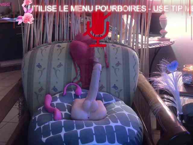 FRENCH-LISA webcam