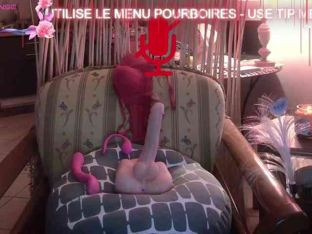 FRENCH-LISA webcam