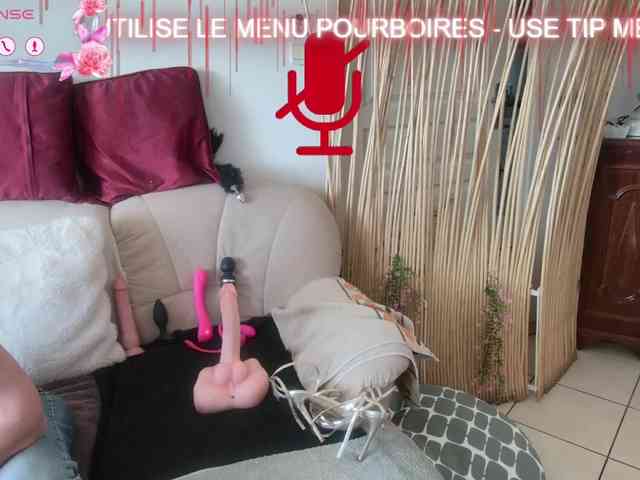 FRENCH-LISA webcam