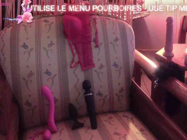 FRENCH-LISA webcam