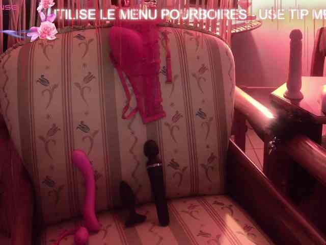 FRENCH-LISA webcam