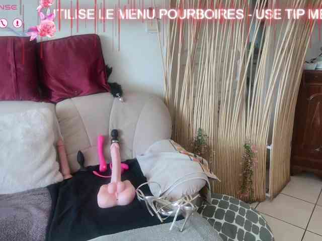 FRENCH-LISA webcam