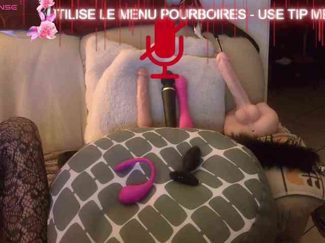 FRENCH-LISA webcam