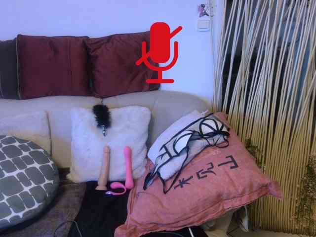 FRENCH-LISA webcam