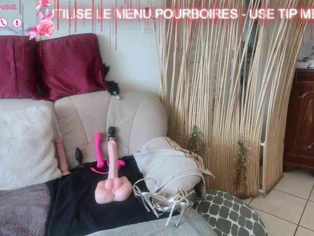 FRENCH-LISA webcam