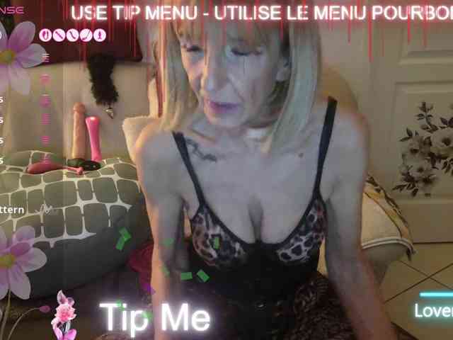 FRENCH-LISA webcam