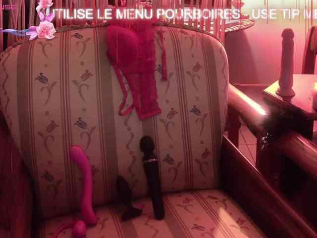 FRENCH-LISA webcam