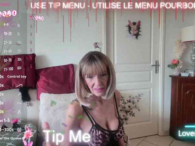 FRENCH-LISA webcam