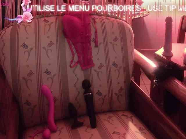 FRENCH-LISA webcam