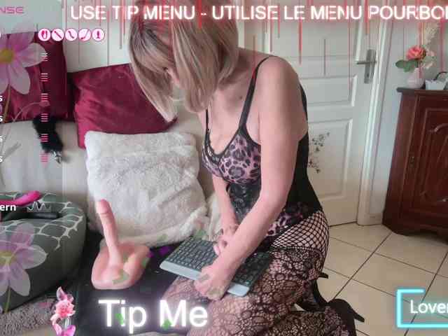 FRENCH-LISA webcam