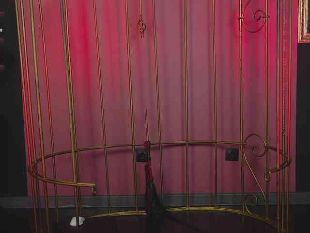 katy-ethereal webcam