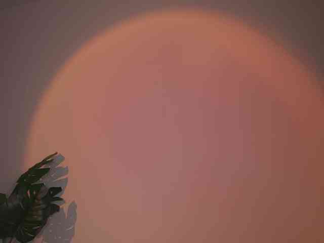 GigiLee webcam