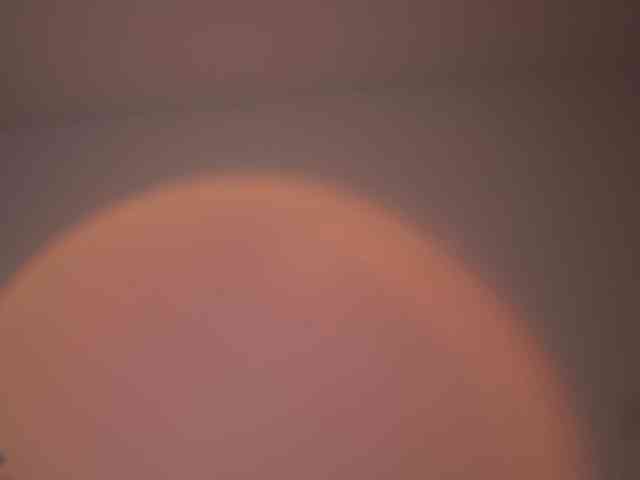 GigiLee webcam