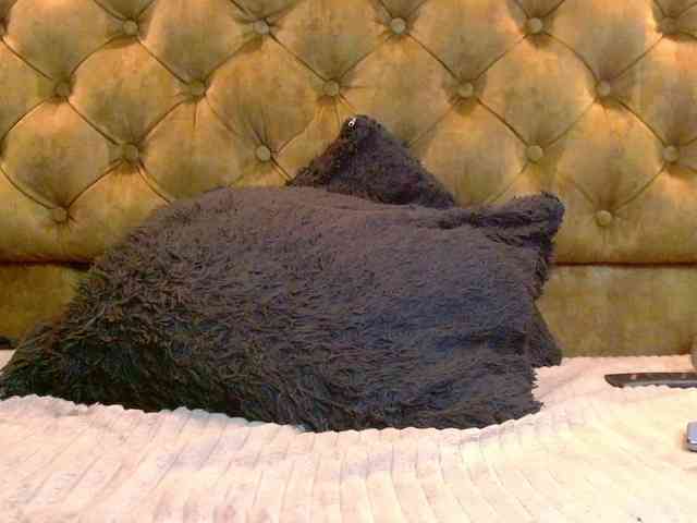 CrystalBrooke3x webcam