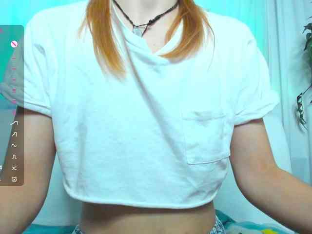 Beellami webcam